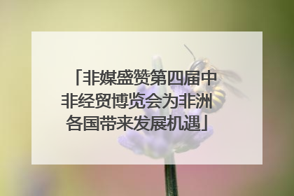 非媒盛赞第四届中非经贸博览会为非洲各国带来发展机遇