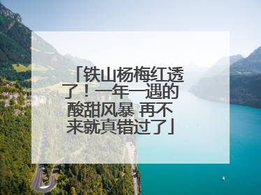 铁山杨梅红透了！一年一遇的酸甜风暴 再不来就真错过了