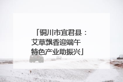 铜川市宜君县：艾草飘香迎端午 特色产业助振兴