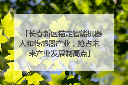 长春新区锚定智能机器人和传感器产业，抢占未来产业发展制高点