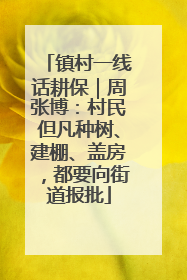 镇村一线话耕保｜周张博：村民但凡种树、建棚、盖房，都要向街道报批