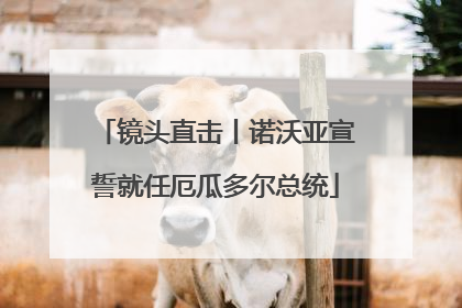 镜头直击丨诺沃亚宣誓就任厄瓜多尔总统