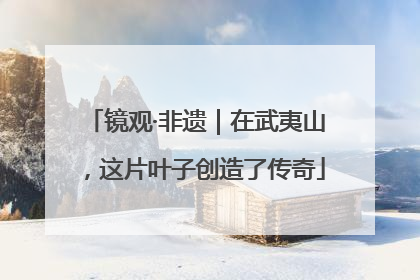镜观·非遗｜在武夷山，这片叶子创造了传奇
