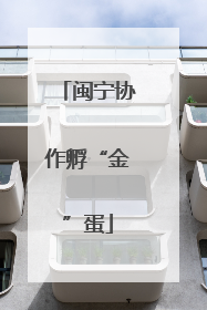 闽宁协作孵“金”蛋