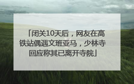 闭关10天后，网友在高铁站偶遇文班亚马，少林寺回应称其已离开寺院