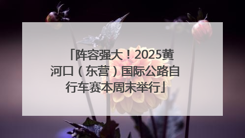 阵容强大！2025黄河口（东营）国际公路自行车赛本周末举行