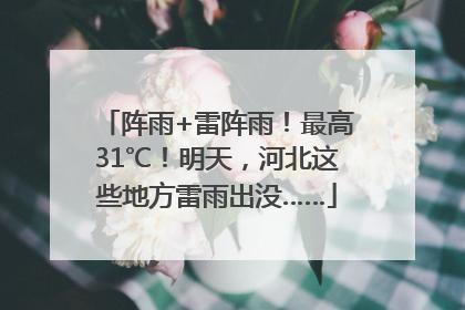 阵雨+雷阵雨！最高31℃！明天，河北这些地方雷雨出没……