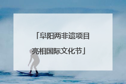 阜阳两非遗项目亮相国际文化节
