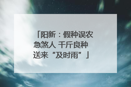 阳新：假种误农急煞人 千斤良种送来“及时雨”