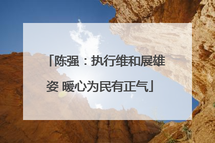 陈强：执行维和展雄姿 暖心为民有正气