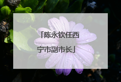 陈永钦任西宁市副市长