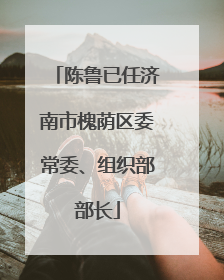 陈鲁已任济南市槐荫区委常委、组织部部长
