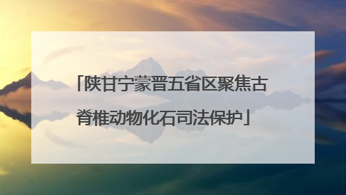 陕甘宁蒙晋五省区聚焦古脊椎动物化石司法保护