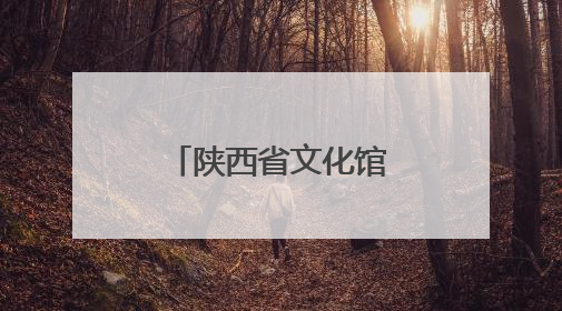 陕西省文化馆：“白+黑”“馆+景”，文化供给向美而聚