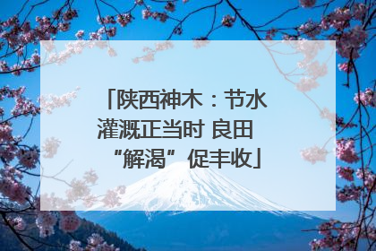 陕西神木：节水灌溉正当时 良田“解渴”促丰收
