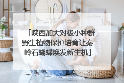 陕西加大对极小种群野生植物保护培育让秦岭石蝴蝶焕发新生机