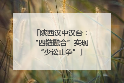陕西汉中汉台：“四链融合”实现“少讼止争”