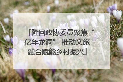 隆回政协委员聚焦“亿年龙洞” 推动文旅融合赋能乡村振兴