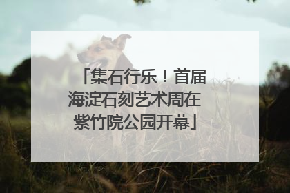 集石行乐！首届海淀石刻艺术周在紫竹院公园开幕