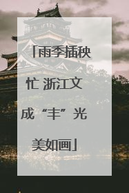 雨季插秧忙 浙江文成“丰”光美如画