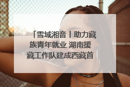 雪域湘音丨助力藏族青年就业 湖南援藏工作队建成西藏首个清洁能源装备园