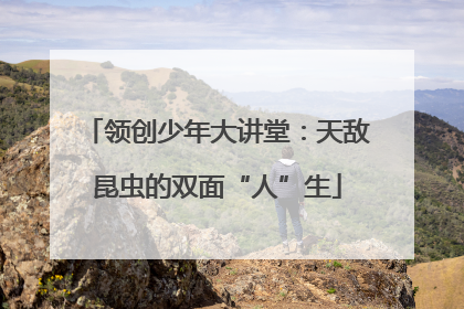 领创少年大讲堂：天敌昆虫的双面“人”生