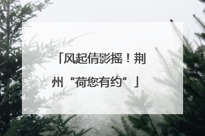 风起倩影摇！荆州“荷您有约”