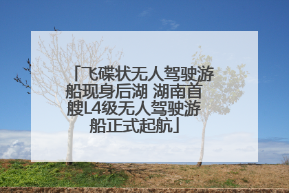 飞碟状无人驾驶游船现身后湖 湖南首艘L4级无人驾驶游船正式起航