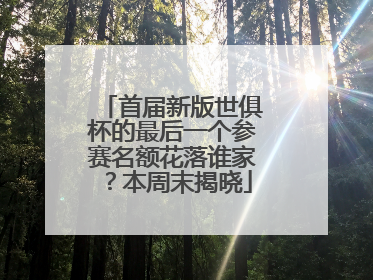 首届新版世俱杯的最后一个参赛名额花落谁家？本周末揭晓