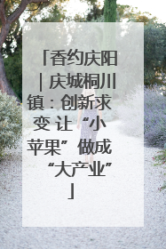 香约庆阳｜庆城桐川镇：创新求变 让“小苹果”做成“大产业”