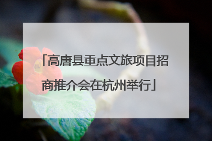 高唐县重点文旅项目招商推介会在杭州举行