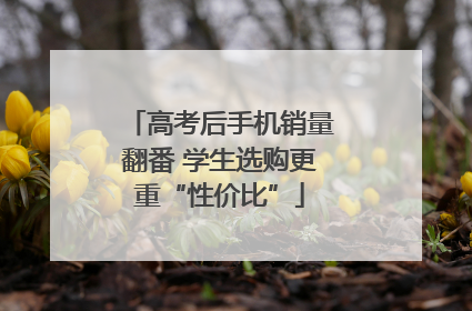 高考后手机销量翻番 学生选购更重“性价比”