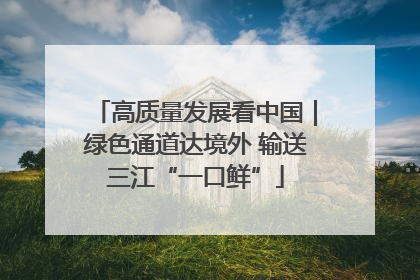 高质量发展看中国｜绿色通道达境外 输送三江“一口鲜”