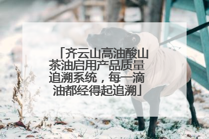 齐云山高油酸山茶油启用产品质量追溯系统，每一滴油都经得起追溯