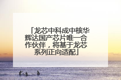 龙芯中科成中核华辉达国产芯片唯一合作伙伴，将基于龙芯系列正向适配