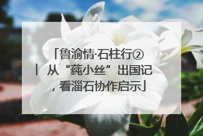 鲁渝情·石柱行② ︳从“莼小丝”出国记，看淄石协作启示