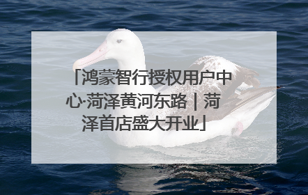 鸿蒙智行授权用户中心·菏泽黄河东路｜菏泽首店盛大开业