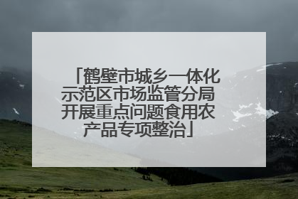 鹤壁市城乡一体化示范区市场监管分局开展重点问题食用农产品专项整治