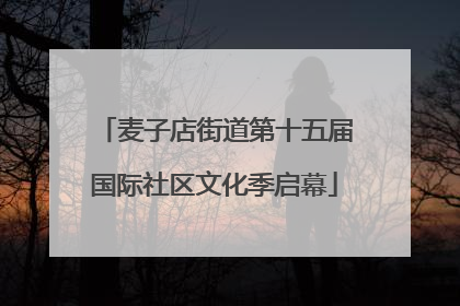 麦子店街道第十五届国际社区文化季启幕