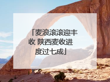 麦浪滚滚迎丰收 陕西麦收进度过七成