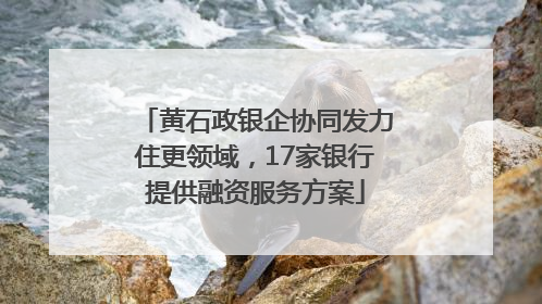 黄石政银企协同发力住更领域，17家银行提供融资服务方案