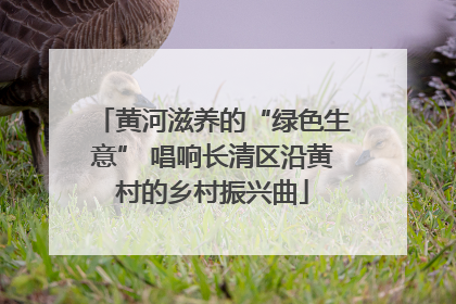 黄河滋养的“绿色生意” 唱响长清区沿黄村的乡村振兴曲