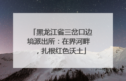 黑龙江省三岔口边境派出所：在界河畔，扎根红色沃土