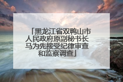 黑龙江省双鸭山市人民政府原副秘书长马为先接受纪律审查和监察调查