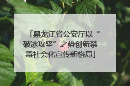 黑龙江省公安厅以“破冰攻坚”之势创新禁毒社会化宣传新格局
