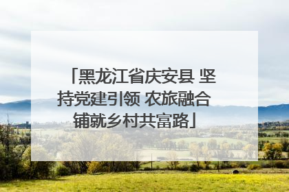 黑龙江省庆安县 坚持党建引领 农旅融合铺就乡村共富路