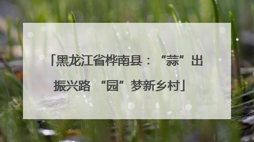黑龙江省桦南县：“蒜”出振兴路 “园”梦新乡村