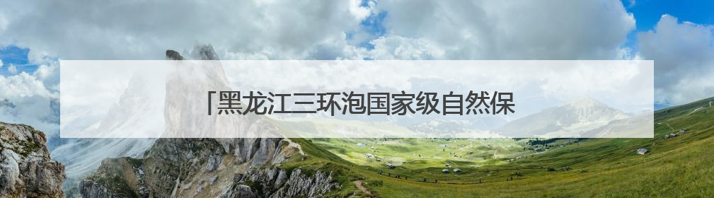 黑龙江三环泡国家级自然保护区：候鸟“带娃”添生机