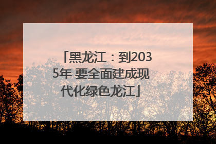 黑龙江：到2035年 要全面建成现代化绿色龙江