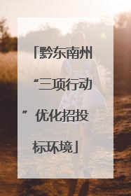 黔东南州“三项行动”优化招投标环境